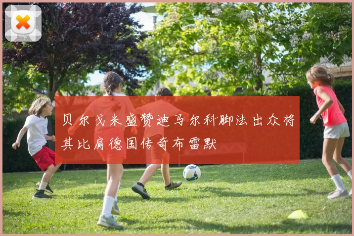 贝尔戈米盛赞迪马尔科脚法出众将其比肩德国传奇布雷默