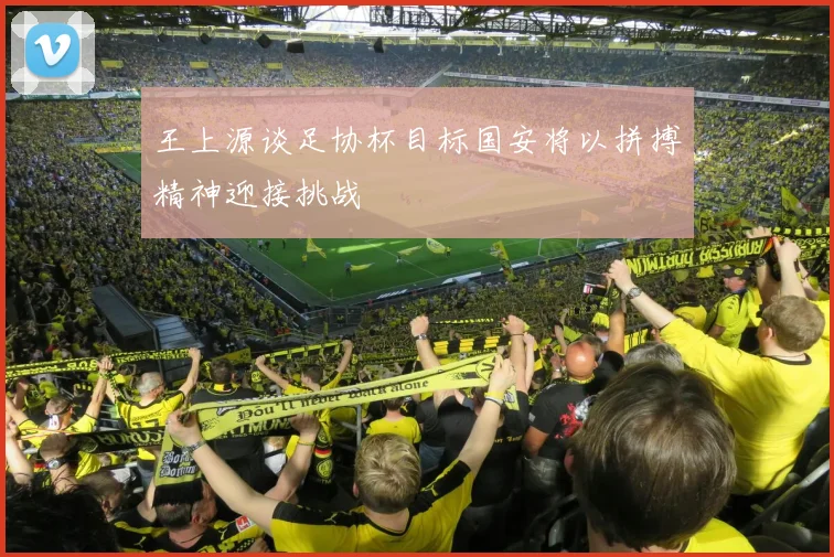 王上源谈足协杯目标国安将以拼搏精神迎接挑战