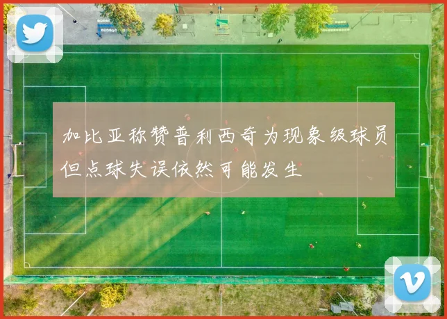 加比亚称赞普利西奇为现象级球员但点球失误依然可能发生