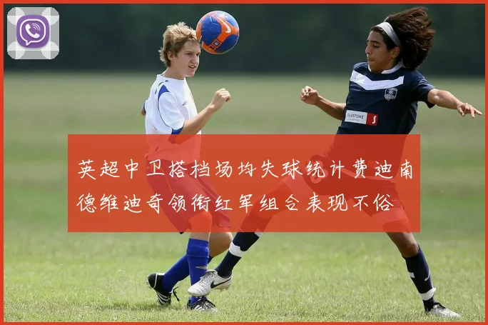 英超中卫搭档场均失球统计费迪南德维迪奇领衔红军组合表现不俗