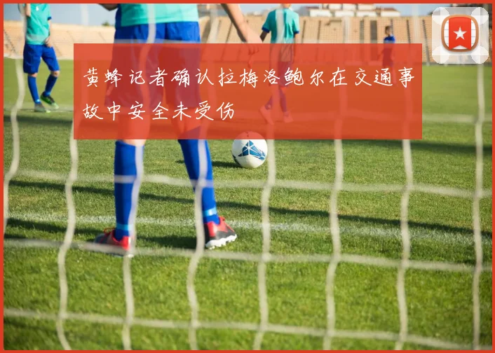 黄蜂记者确认拉梅洛鲍尔在交通事故中安全未受伤