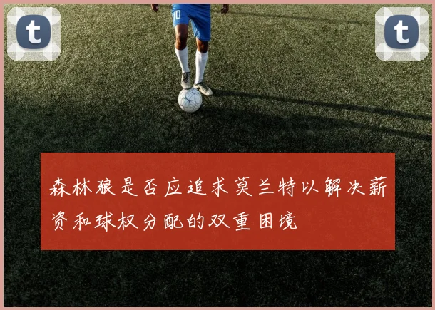 森林狼是否应追求莫兰特以解决薪资和球权分配的双重困境
