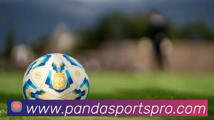 熊猫体育APP 高清赛事图